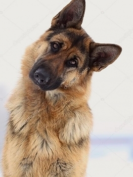 gallery-img3